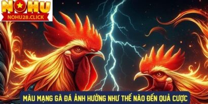 màu mạng gà đá